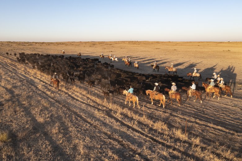 2022 Land Report Who owns the most land in the United States